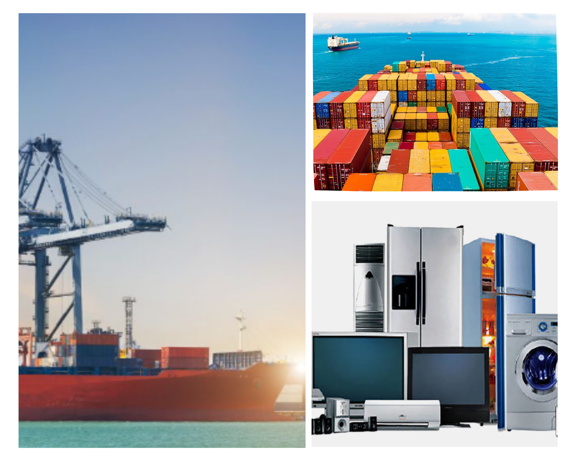 Electronic Services